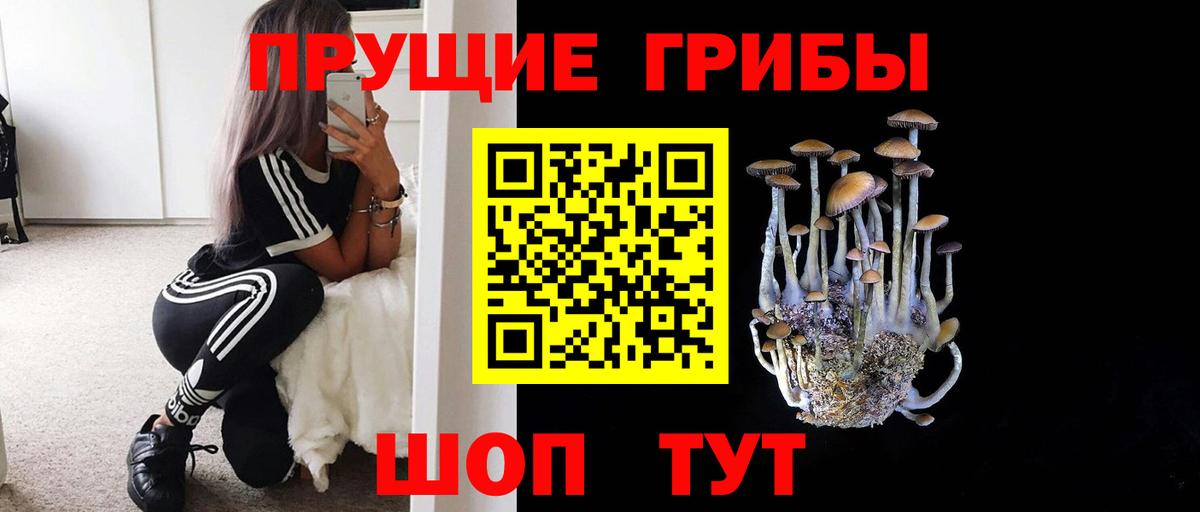 Псилоцибиновые грибы Magic Shrooms Находка